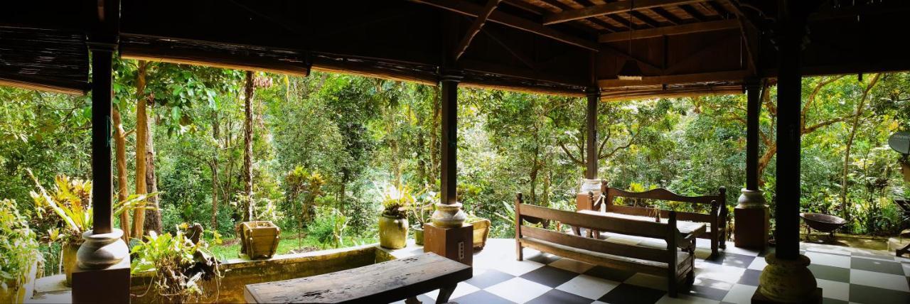 Happy Ria Homestay & Guesthouse 武吉拉旺 外观 照片